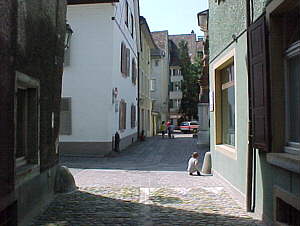 Virtual Rheinfelden