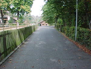 Virtual Rheinfelden