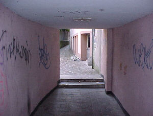 Virtual Rheinfelden