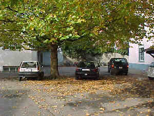 Virtual Rheinfelden