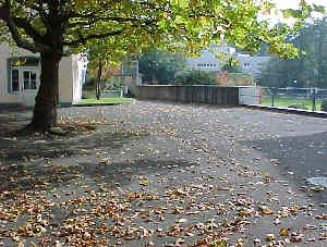 Virtual Rheinfelden