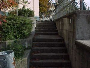 Virtual Rheinfelden