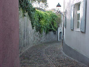 Virtual Rheinfelden